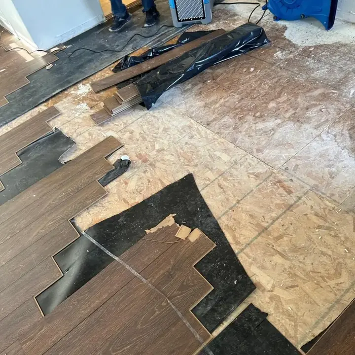 Wet plank flooring pulled up to expose the subfloor