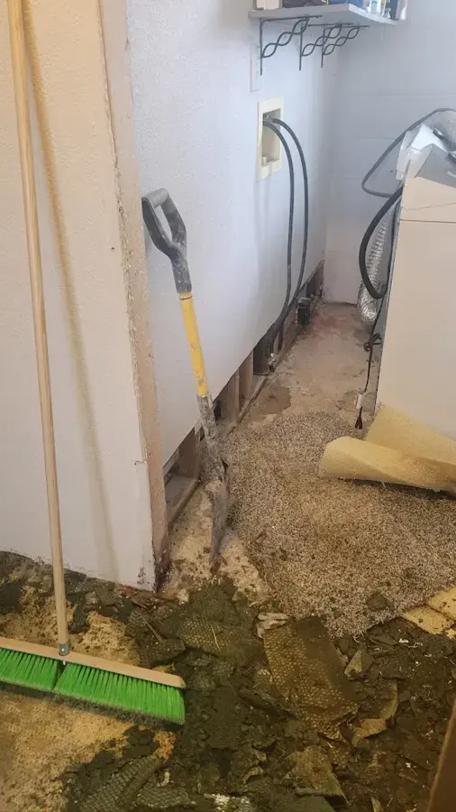 Wet flooring pulled up beside a washer in a laundry room