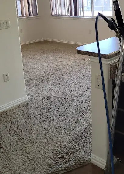 Extraction hose beside wet carpet in a living room